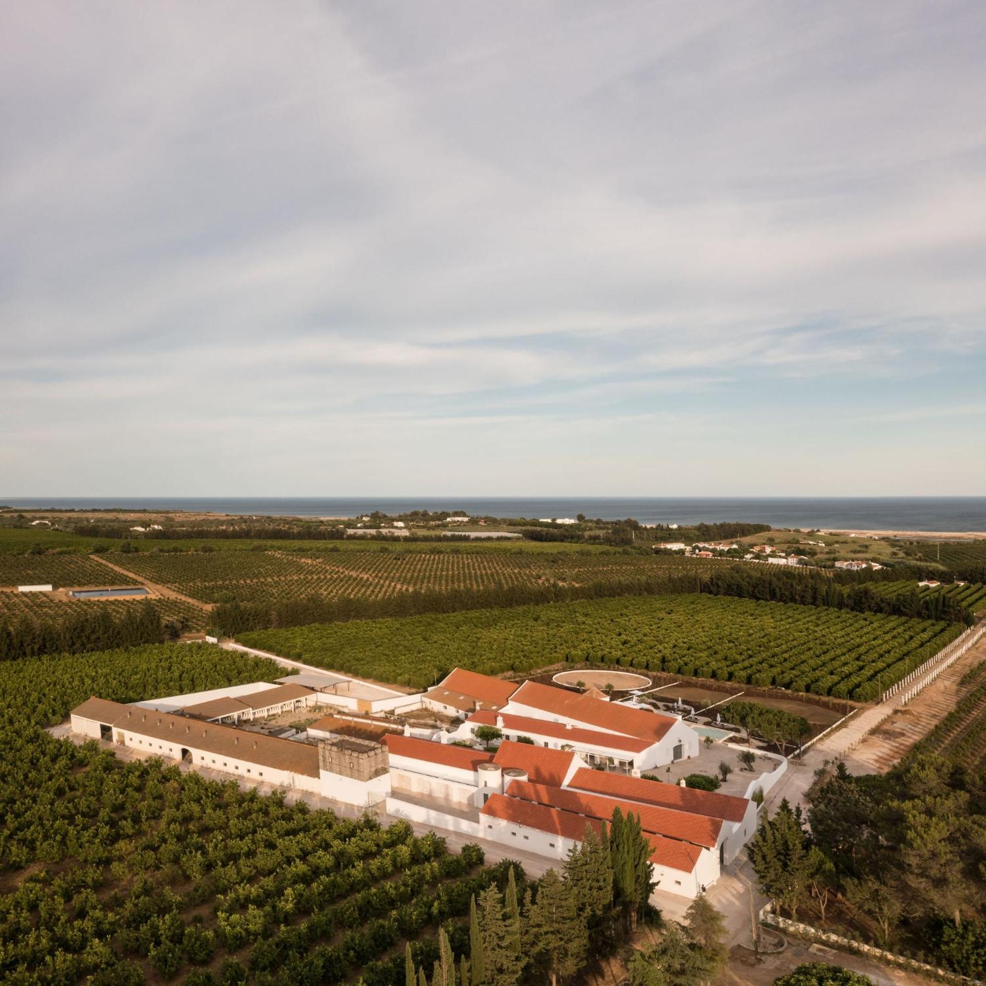 הוילה וילה נובה דה קסלה Casas Da Quinta De Cima מראה חיצוני תמונה