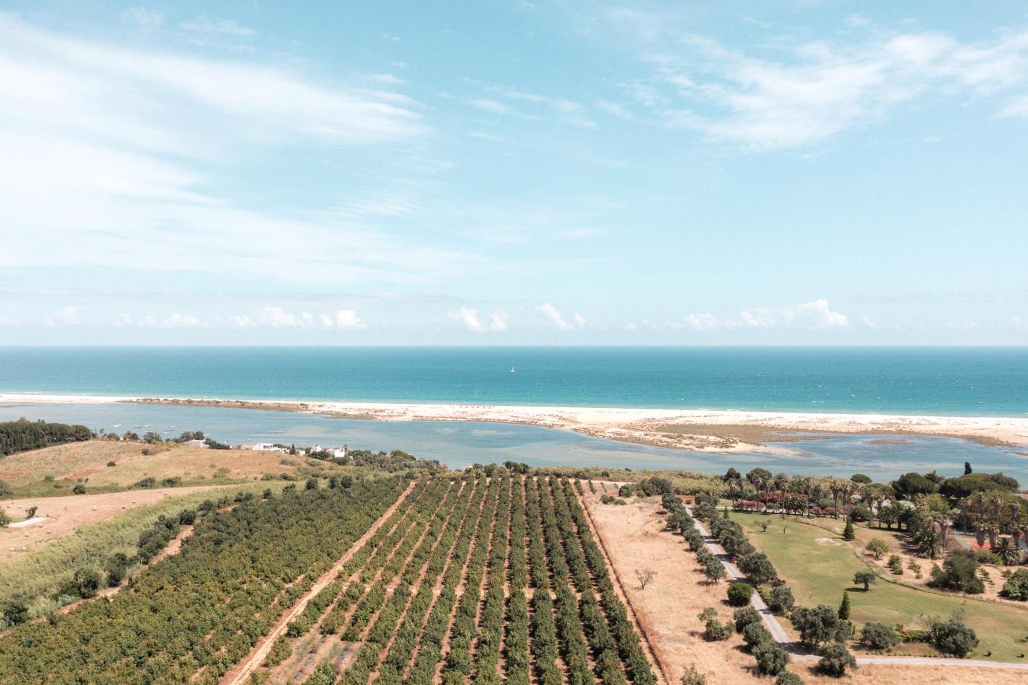 הוילה וילה נובה דה קסלה Casas Da Quinta De Cima מראה חיצוני תמונה